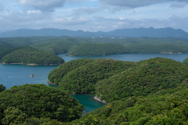 山の合間に海が入り込んでいる